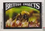 Bumblee Bee BRITISH INSECTS Wiltshire Match Co.  photographed by Marti