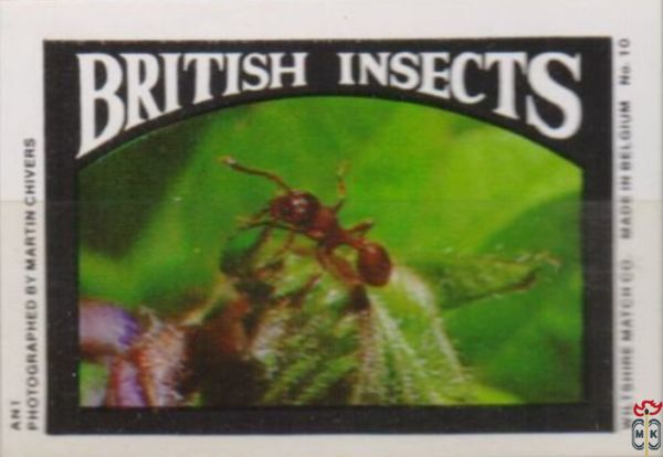 Ani BRITISH INSECTS Wiltshire Match Co.  photographed by Martin Chiver