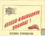 Burgonyabogár-Keresd a burgonyabogarat! Szegedi Gyufagyár