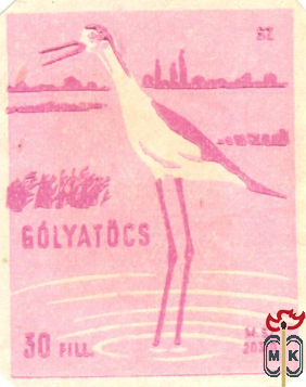 Golyatocs (Ходулочник)
