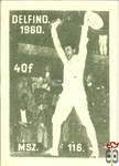 Olimpiák › MSZ, 40 f › 116. Delfino, 1960