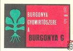 Burgonya gyomírtószere a Burgonya G B 40f msz