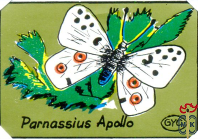 Parnassius Apollo (Аполлон)