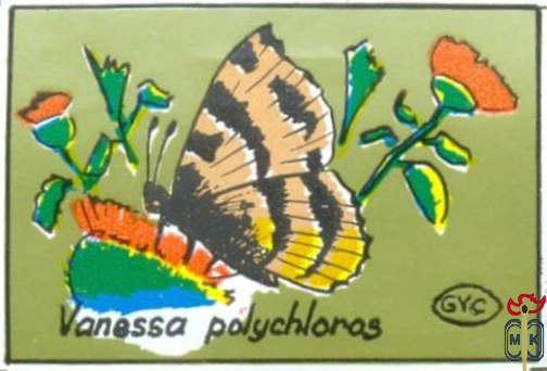 Vanessa Polychloros (Многоцветница)