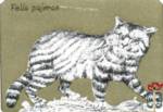 Felis pajeras (Тигровая кошка)