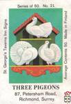 Three Pigeons 87, Petersham Road, Richmond, Surrey.