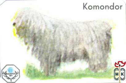 Komondor (Комондор)