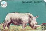 Diceros bicornis (Чёрный носорог)