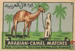 Arabian-camel matches