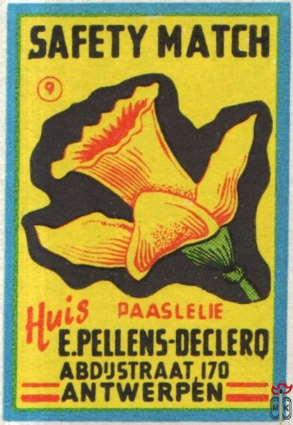 Paaslelie E.Pellens-Declerq Abdustraat, 170 Antwerpen Huis Safety matc