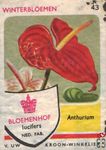 Anthurium Winterbloemen Bloemenhof lucifers van Uw kroon-winkelier Ned