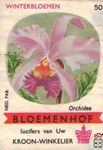 Orchidee Winterbloemen Bloemenhof lucifers van Uw kroon-winkelier Ned.