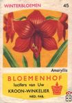 Amaryllis Winterbloemen Bloemenhof lucifers van Uw kroon-winkelier Ned