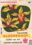 Tros-orchidee Winterbloemen Bloemenhof lucifers van Uw kroon-winkelier