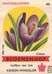 Crocus Winterbloemen Bloemenhof lucifers van Uw kroon-winkelier Ned. f