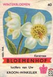 Kerstroos Winterbloemen Bloemenhof lucifers van Uw kroon-winkelier Ned