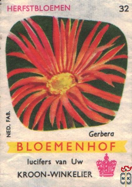 Gerbera Zomerbloemen Bloemenhof lucifers van Uw kroon-winkelier Ned. f