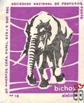 Elefante Bichos 40 amorfos cera papel 325 + 5 soc soc sociedade nacion
