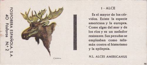 Alce