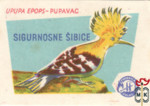 Upupa epops, Удод, Sigurnosne šibice, безопасные спички, Pupavac