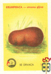 Ядовитые грибы, Krumpirača gljiva, Ложнодождевик обыкновенный