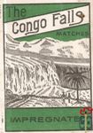 The Congo Falls matches impregnated