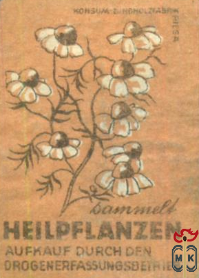 Heilpflanzen