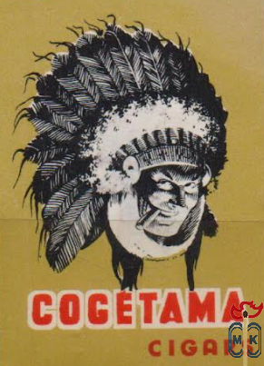 Cogetama