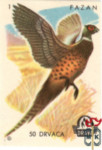1. Fazan (Фазан), 50 DRVACA, 1957