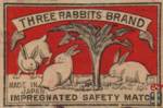 Impregnated Safety Match