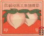 Fruit