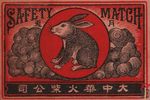 Safety match