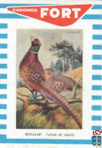 Bosfazant Faisan de Chasse FORT Chromos