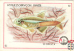 1970-Югославия. Аквариумные рыбки