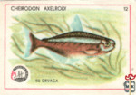 1970-Югославия. Аквариумные рыбки