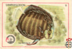 1970-Югославия. Аквариумные рыбки
