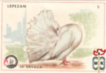 Lepezan
