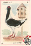 Hinersek