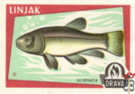 Linjak