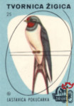 Lastavica Pocucarka