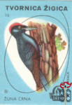 Zuna Crna