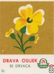 Drava Osijek 50 Drvaca Drava
