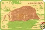 Vaddiszno (Кабан)