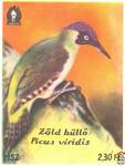 Zold rullo (Picus viridis) Зелёный дятел