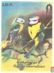 Kercinege (Parus coeruleus)Обыкновенная лазоревка
