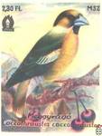 Meggyvago (Coccothaustes coccothaustes) Обыкновенный дубонос
