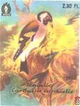 Tengelic (Carduelis carduelis)Черноголовый щегол