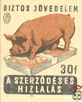 Sertéshízlalás MSZ 30 f › Biztos jövedelem a szerződéses hízlalás