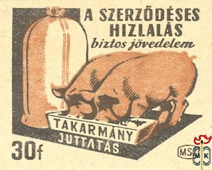 Sertéshízlalás MSZ 30 f › A szerződéses hízlalás biztos jövedelem. Tak