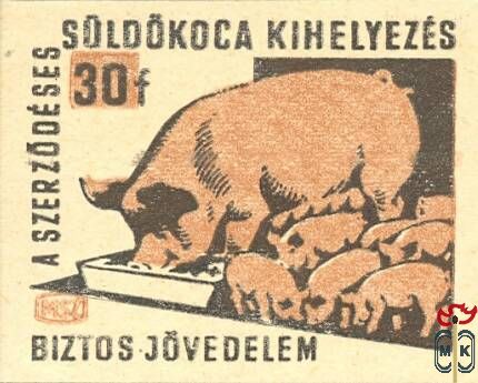 Sertéshízlalás MSZ 30 f › A szerződéses süldőkoca kihelyezés biztos jö